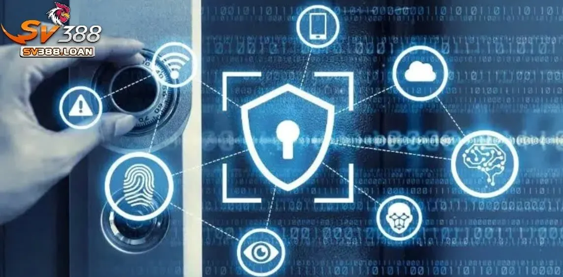 Tầm quan trọng Chính Sách Sv388