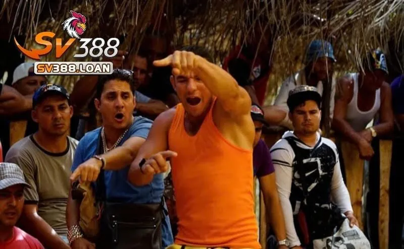 da ga choi cuba sv388 1