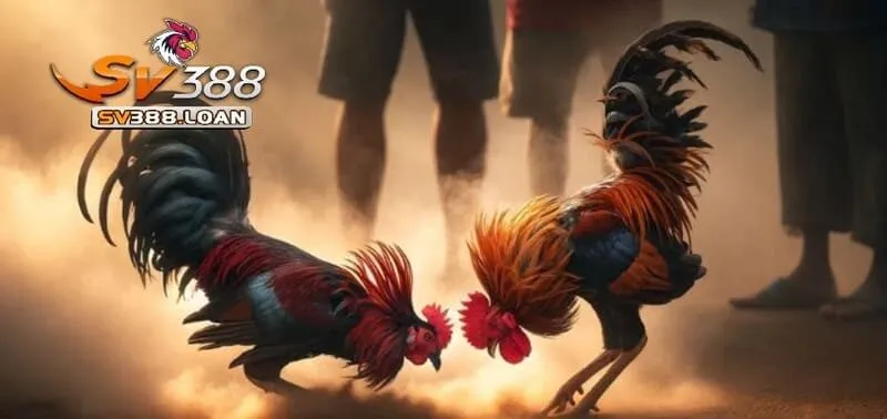 Những bí kíp mà cao thủ áp dụng